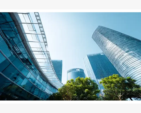 冰糖贝母止咳化痰：中医传统草药的神奇功效